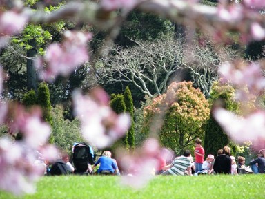 Cornwall Park lends itself so well for photography