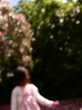  Eloise walking in the Domain Gardens