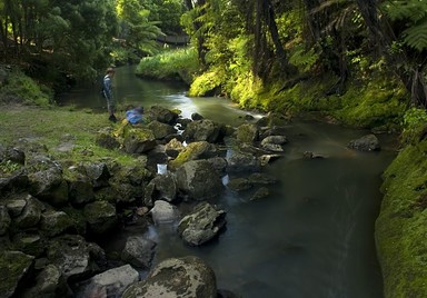 Oakley Creek in spring