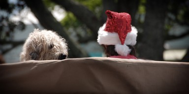  Birkenhead Xmas Parade