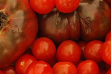 Fresh Organic