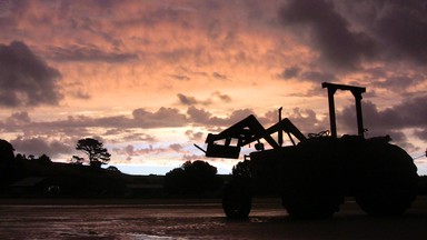Tractor, Big Bay