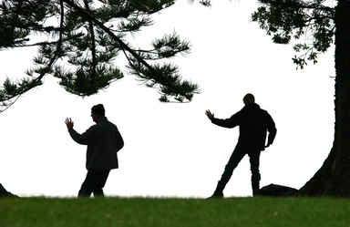 Jerry Zinn;Tai Chi; EARLY MORNING ON TAKAPUNA RESERVE