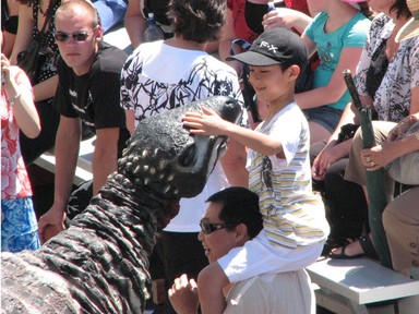 Andrew McColl;Boy meets Dinosaur; A young boy has a close encounter with one of Auckland Museum's resident dinosaurs.