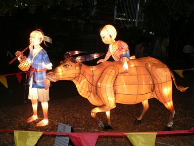 Cynthia Hsu; Going Home;Lantern Festival at Albert Park (shot 95 pics)