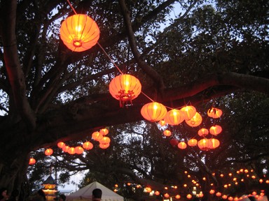 Kate Wanless;stringsoflanterns;took 20 photos