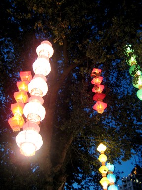 Kate Wanless;longlanterns;took 20 photos