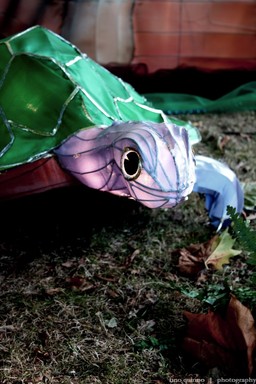 Tino Quirino;Turtle;taken at albert park. this is one of the lantern displays where zoo/wildlife animals seemed to be the theme. this turtle was around other animals such as a flamingo, zebra, hippo, etc.