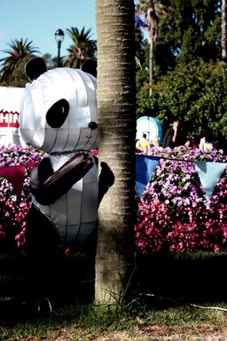 took this at the lantern festival in albert park. this was one of the lantern displays-- a group of playful pandas