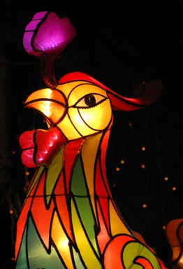 Juanita Watts;Chicken Lantern;Shot 20 pics.