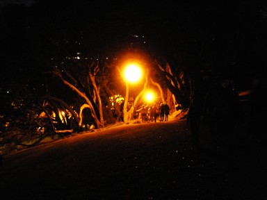 Rosaleen Sherman;Lantern Festival 1