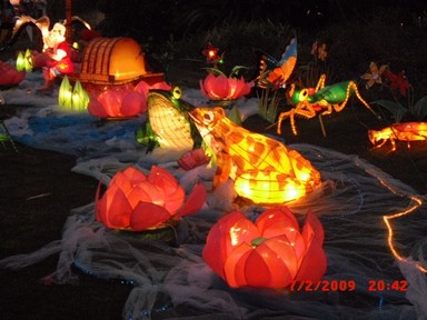 Kwan Lim;On the Water Lily Pond;Taken at Mt Albert Park at the 2009 Lantern Festival.