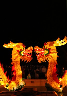 Nancy Lan (150 shots);Night Dragons; A child gazes up in fascination at the two giant glowing dragons.