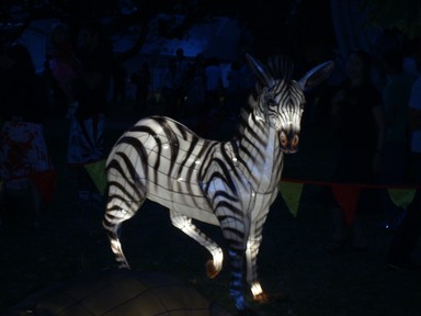 Donald Pryde;Zebra;shot 18 pics