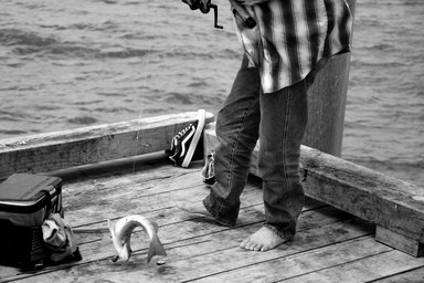 Max Ross;Dancers;Freshly caught fish on Torpedo Bay wharf.