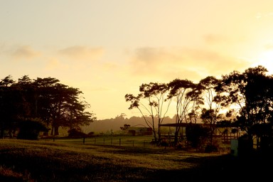 Jos van Gils;IMG_3076_5 150x100.jpg;This photo shows the Greenhithe pony club sheds at sunrise.