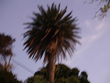 Elisabeth St.;Shake your head;warft road (Waiheke Island)