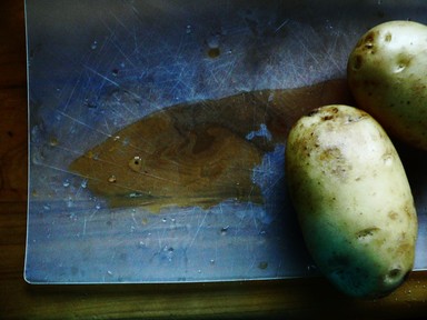 Carmen Castaño;Shark; I was chopping potatoes when a shark came along