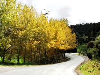 JERRY ZINN;Scenic drive Puhoi; The sun broke out unexpectedly to help create this scene