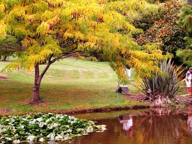 JERRY ZINN;Tranquill  scene at Puhoi; such a beautiful area to enjoy