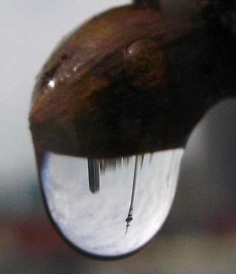 Fiona Wash;Auckland on a rainy day; Taken through a drop of rain hanging on a branch, after the rains had stopped.