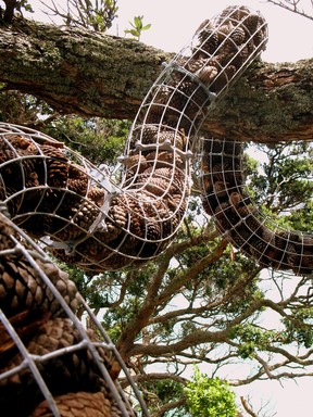 Martin Read;Acorn tube; Part of an art installation on Waiheke