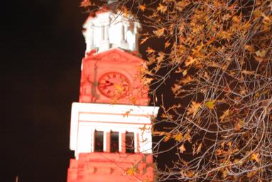 Chamalie Jayaweera; Town Hall Dressed Up