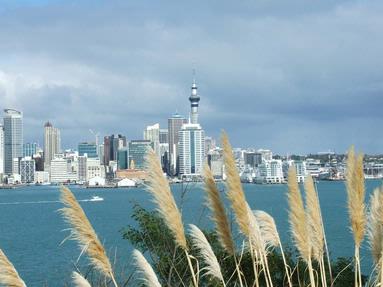 Lisa Fowler;Cityof Sails;Taken from Devonport