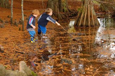 Gavin Tasker;Fun_with_sticks;Daniel (2) & James (4) at Western Springs