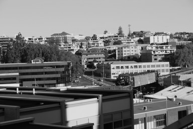 Vernon Fernandes;The City of Sails???; Auckland Centeral