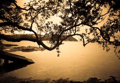 Haani Badeeu;Tranquility ;Blockhouse bay