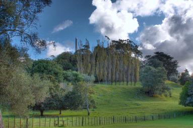 Dragan Gasic; Landscape OTH 2 tonemapped; Autumn 2; One Tree Hill May 2009