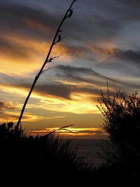 Judy Klaus;Anawhata delight; Photo taken at sunset at Anawhata