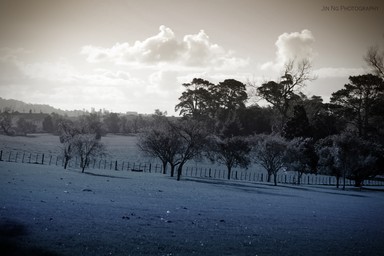 Jin Ng;You Didn't Get To Heaven But You Made It Close;Taken at Nicholson Park. The sun was perfect for this picture.