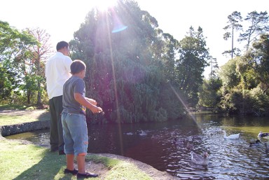 Juliette Ngawaka;Guardian Angel at  Western Springs;A puzzling image is seen in this photograph of father and son feeding ducks.