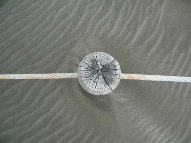 Windy Cahill; Black Sands of Piha