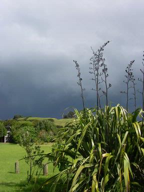 Judy Klaus;Storm brewing ;Taken as storm clouds gathered overhead