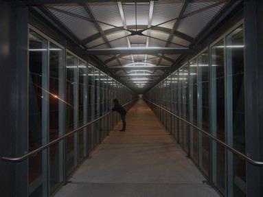 Lisa Fowler; Akoranga Campus Walkway; The new bus walkway going across the motorway from Barrys Pt Rd, to Akoranga Drive