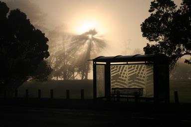 Rachael Cotton Bronte; The Best View In The World; Coyle Park Metro Bus Stop