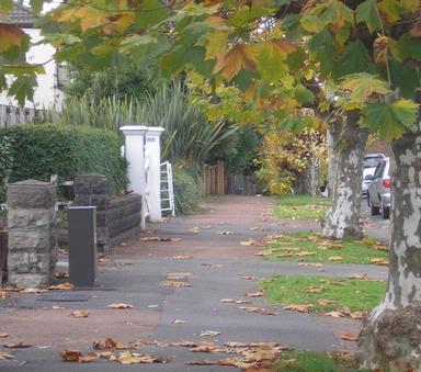 Jenny Chen; View from the bus stop; This photo was taken late autumn at the bus stop opposite the University of Auckland campus in Epsom.