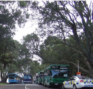 mark walker;BUSted; taken in the Auckland Domain