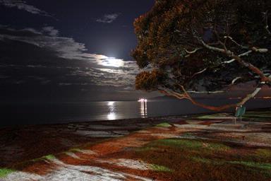 Catrina Sewell;Moonshadow; Murrays Bay July 7