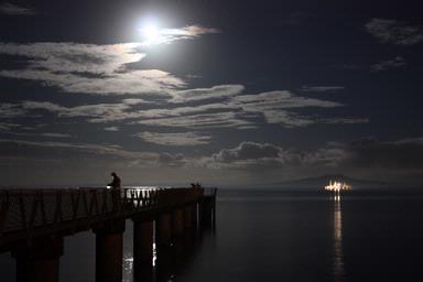 Catrina Sewell; A Moonlit fish; Murrays Bay Wharf June 7