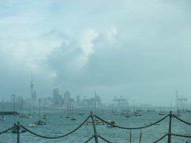 Barbara Edmonds; City;V iew from Tamaki Drive