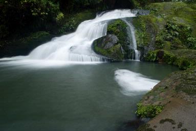  Upper Nihotupu dam