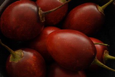 Steve Harper; Tamarillos; A very excellent fruit