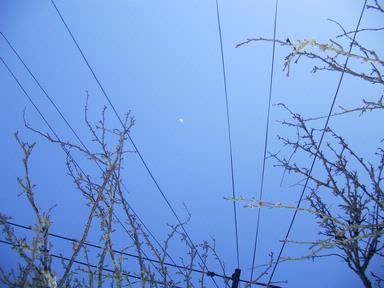 francegipsy; cold winter evening sky