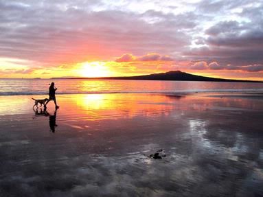 These beautiful colours of sunrise was taken on Takapuna beach