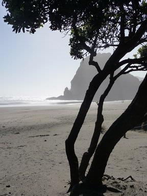 Richard Mayes; Piha and Lion Rock