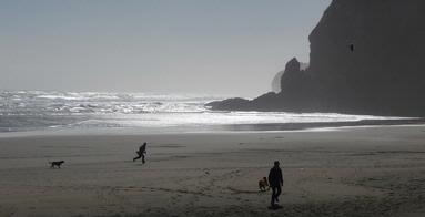  Piha Winter Afternoon